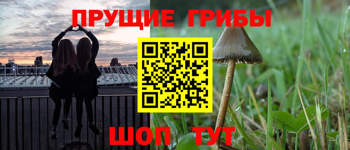 Псилоцибиновые грибы Magic Shrooms Фролово
