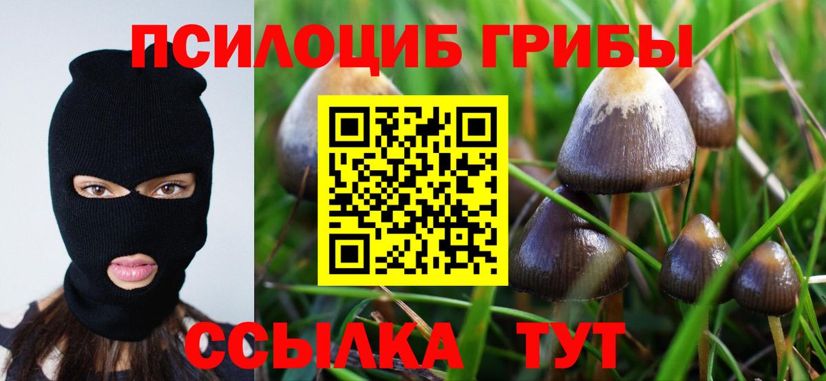 Галлюциногенные грибы мицелий  Галлюциногенные грибы GOLDEN TEACHER  Фролово  Вход с VPN 